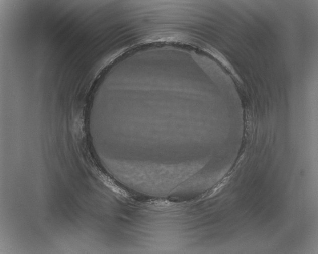 X0000082940826200702152211