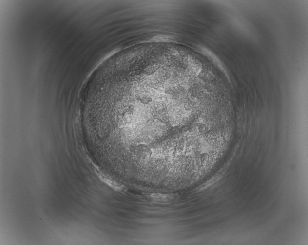 X0000082940827200702152211