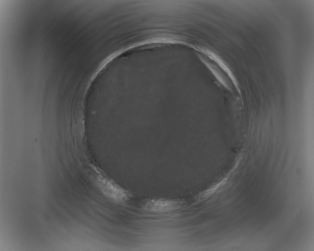 X0000082940829200702152211