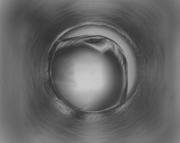 X0000082940830200702152211