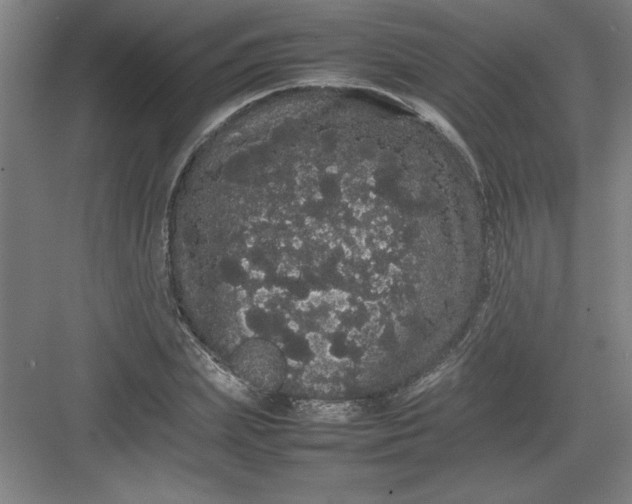 X0000082940831200702152212