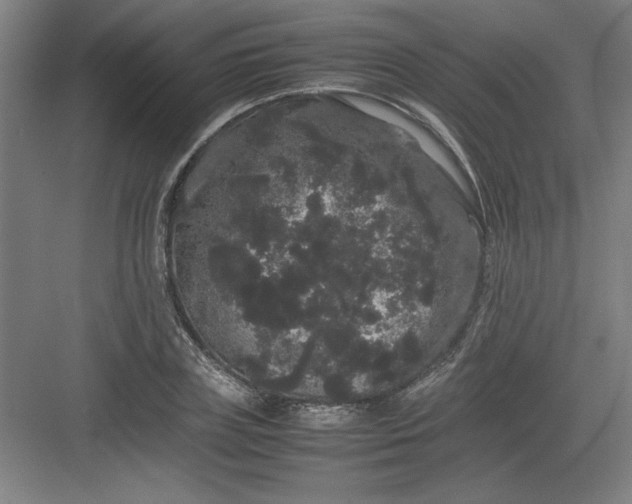 X0000082940835200702152212