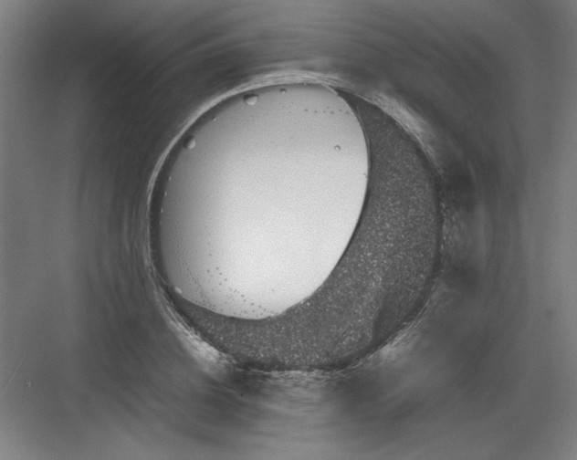 X0000082940836200702152212