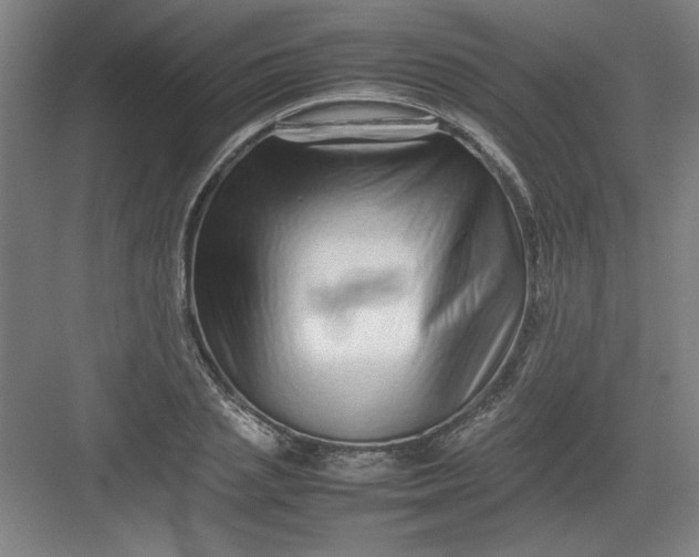 X0000082940837200702152212