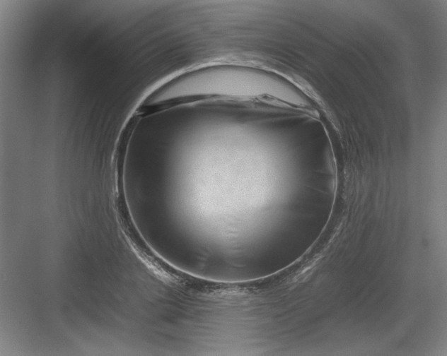 X0000082940838200702152212