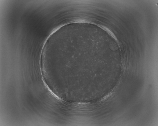 X0000082940839200702152212