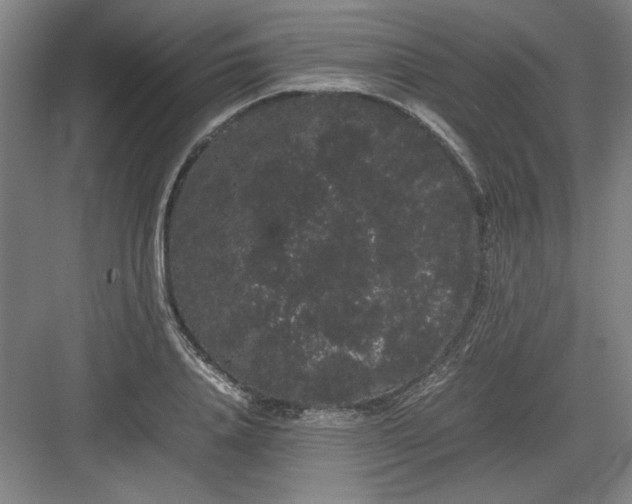 X0000082940840200702152212