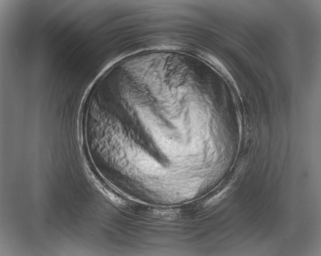 X0000082940843200702152212