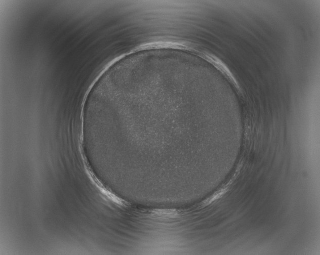 X0000082940844200702152212