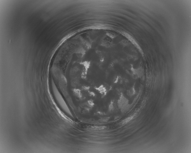 X0000082940845200702152212