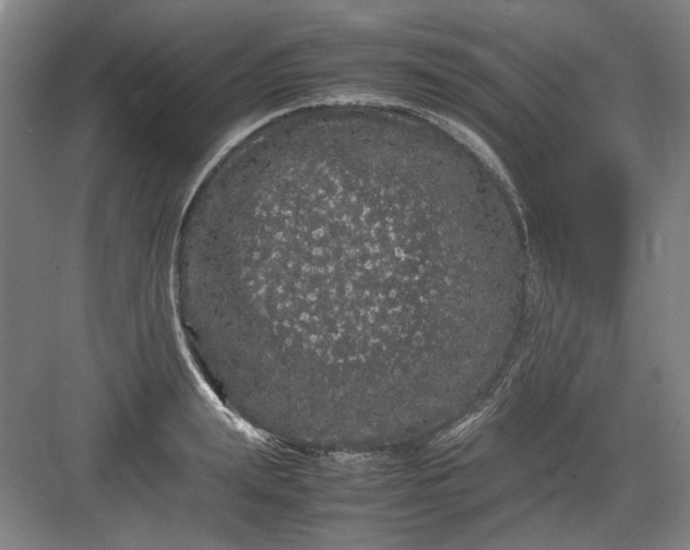 X0000082940847200702152212