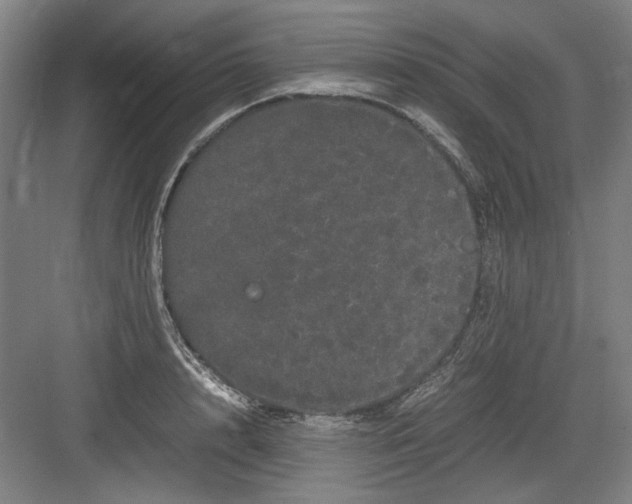 X0000082940848200702152212