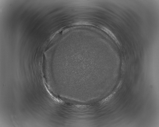 X0000082940849200702152212