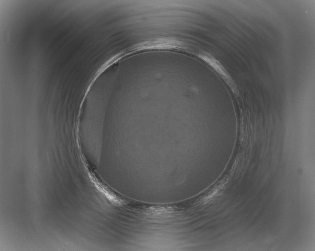 X0000082940850200702152212