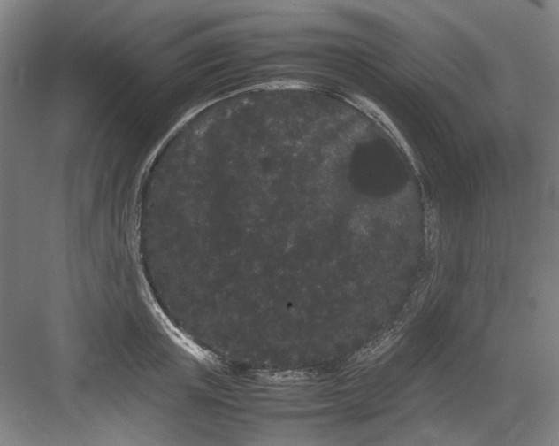 X0000082940851200702152212