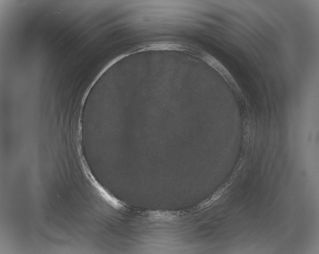 X0000082940852200702152212