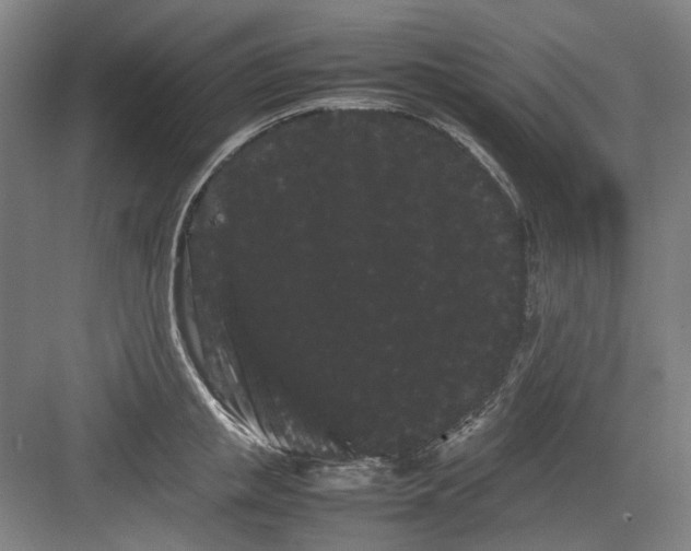 X0000082940853200702152212