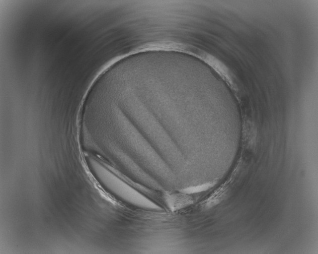 X0000082940854200702152212