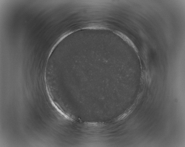 X0000082940855200702152212