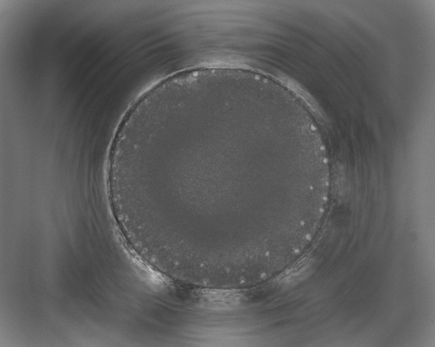 X0000082940856200702152212