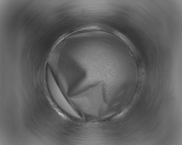 X0000082940858200702152212