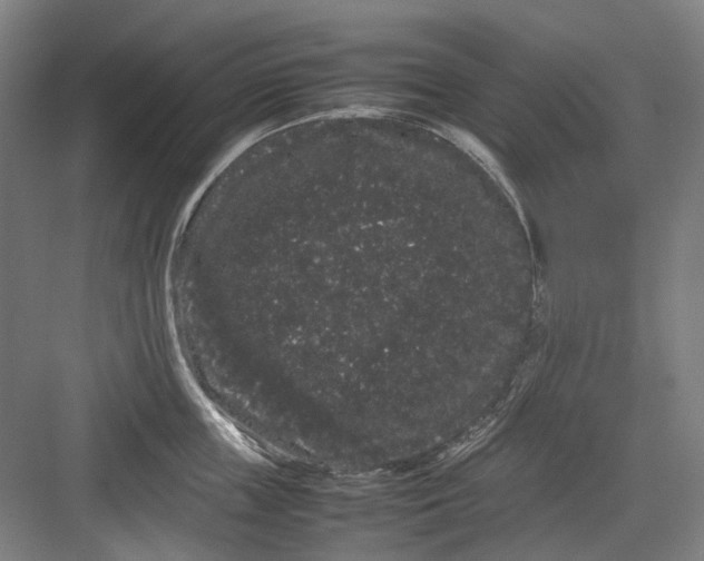 X0000082940859200702152212