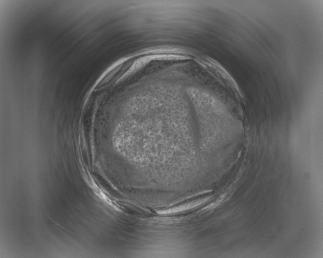 X0000082940860200702152212