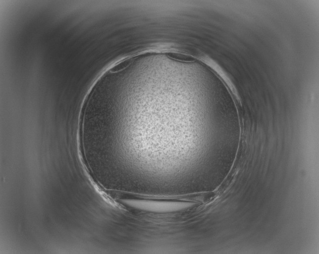 X0000082940861200702152212