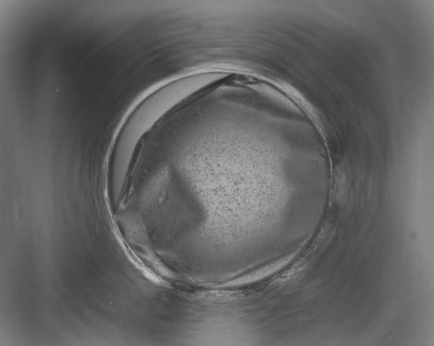 X0000082940862200702152212