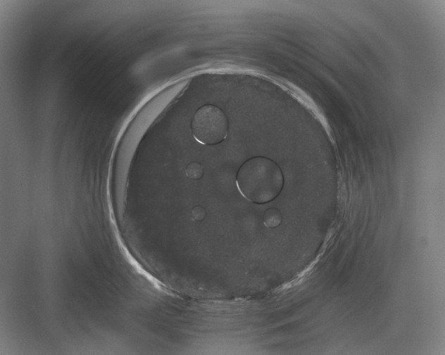 X0000082940863200702152212