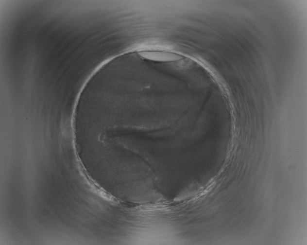 X0000082940864200702152212