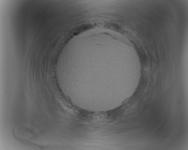 X0000082940865200702152211