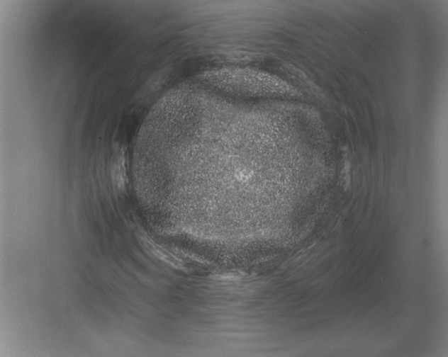 X0000082940866200702152211