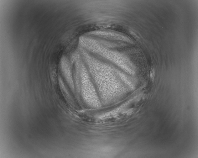 X0000082940867200702152211