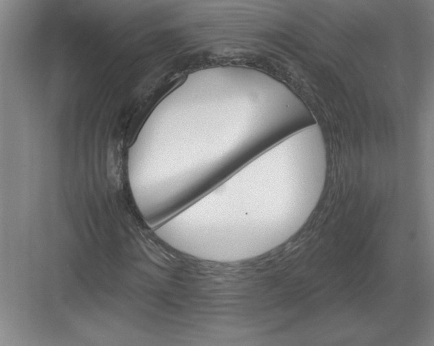 X0000082940868200702152211