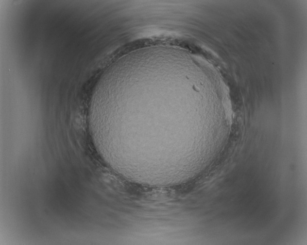 X0000082940869200702152211