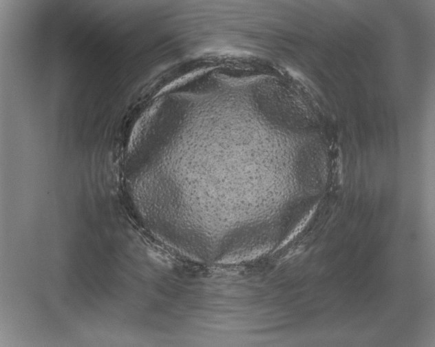 X0000082940870200702152211