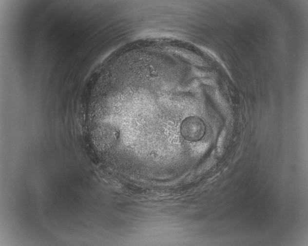 X0000082940871200702152211