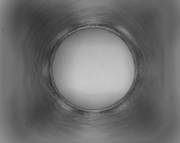 X0000082940873200702152211