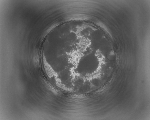 X0000082940874200702152211