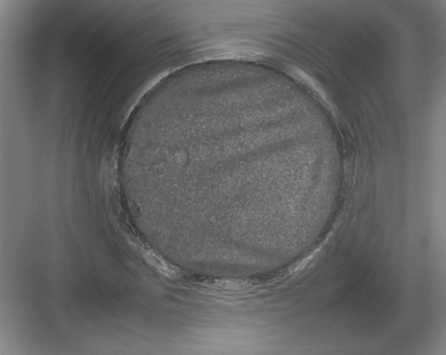 X0000082940875200702152211