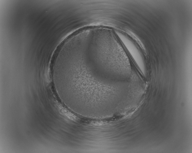 X0000082940876200702152211