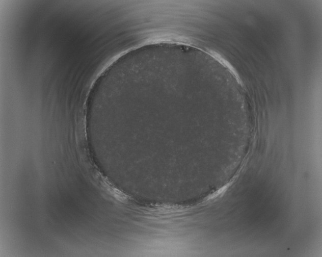 X0000082940877200702152211