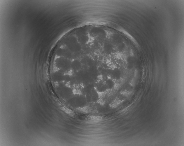 X0000082940878200702152211