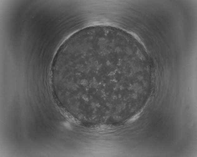 X0000082940879200702152211