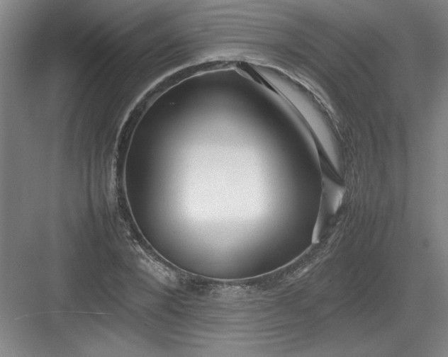 X0000082940880200702152211