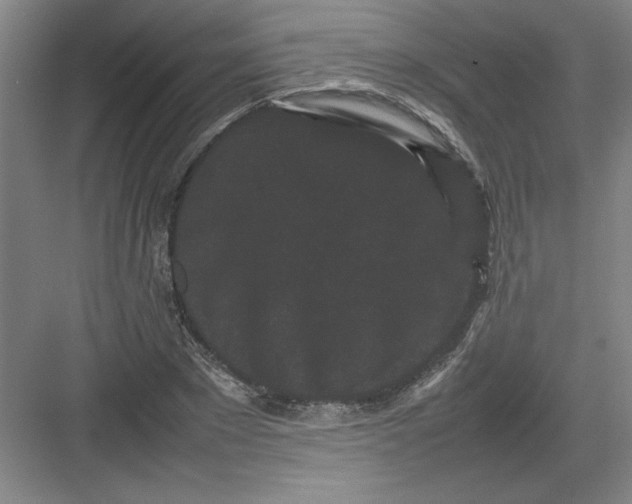 X0000082940881200702152211