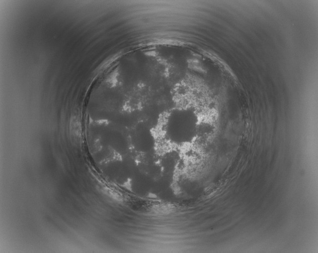 X0000082940882200702152211