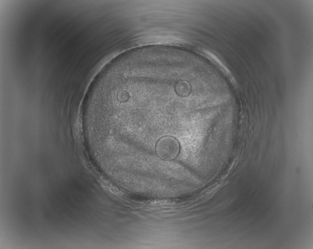 X0000082940883200702152211