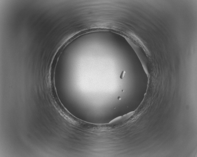 X0000082940884200702152211